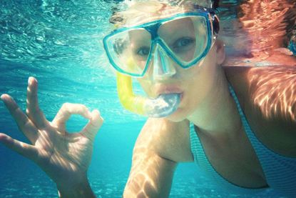 St Augustine Aquarium and Snorkel Adventure