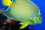 St Augustine Aquarium