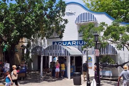 Key West Aquarium