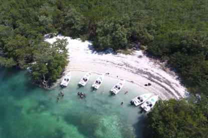 Key West Snorkel Safari Tour