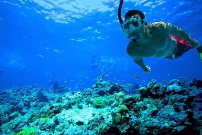Best snorkeling experiences in Key West