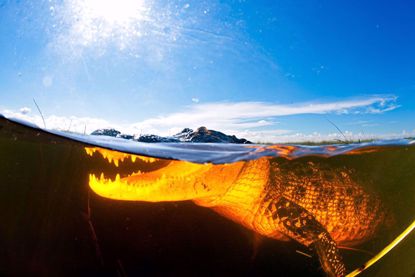 Amazing photo opportunities