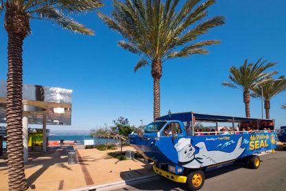 See San Diego by land and by sea