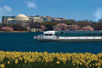 See Washington D.C. from a new perspective